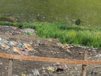 На «рекультивированной» свалке можно покопаться в старом мусоре