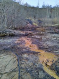 Ручьи с берега еще бегут