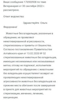 Ответ мэрии по стае собак у школы №20