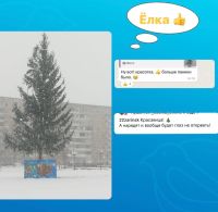 Преображенная ель в Заринске