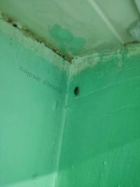 Фото из публикации о БСМП