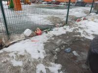 Обилие мусора заметно невооруженным глазом