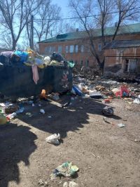 Решенная проблема с мусором в Рубцовске. Фото от 10 апреля