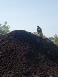 Каждый день ее тушат