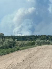 Пожар в Лебяжинском лесничестве