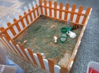 Бийские зоозащитники обеспокоены состоянием животных в передвижном зверинце