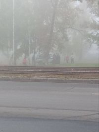 Смерть в тумане: следком начал проверку после обнаружения тела женщины в барнаульском сквере