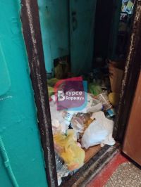 Барнаульцы пожаловались на кишащую насекомыми квартиру-свалку