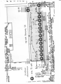 Многолетние посадки: ели возле здания алтайского правительства подвергнутся очередной «реновации»<span style=