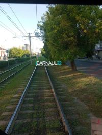 Сотрудники барнаульского «Горэлектротранса» пожаловались на заросшие зеленью трамвайные пути