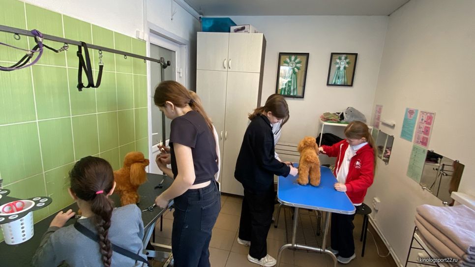 Ответственные хозяева учатся ухаживать за своими питомцами с малых лет