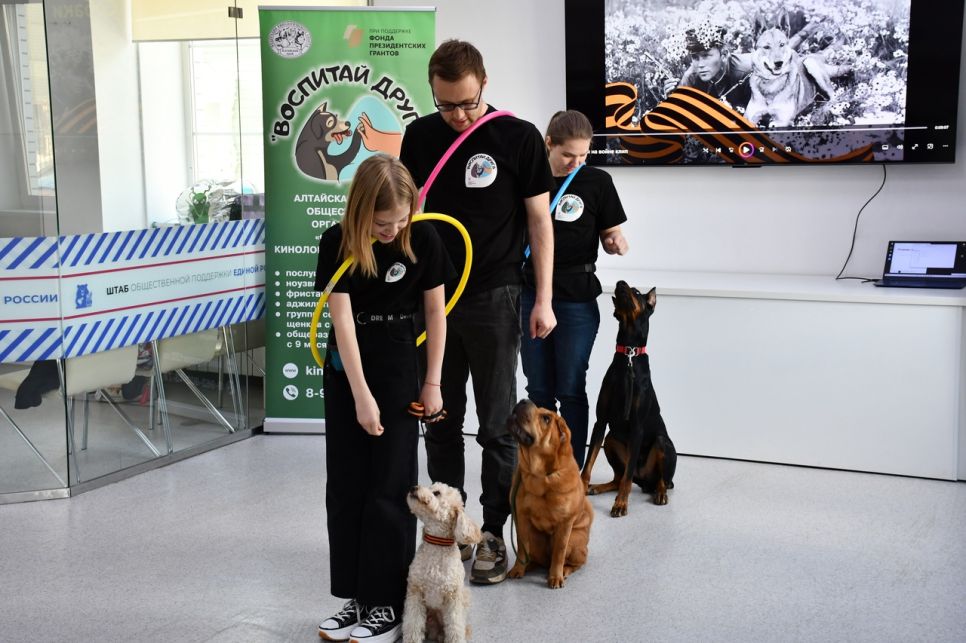 Показательное выступление с собаками