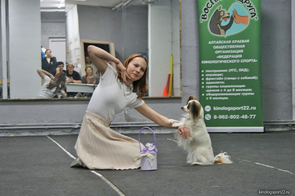 Танцы с собаками