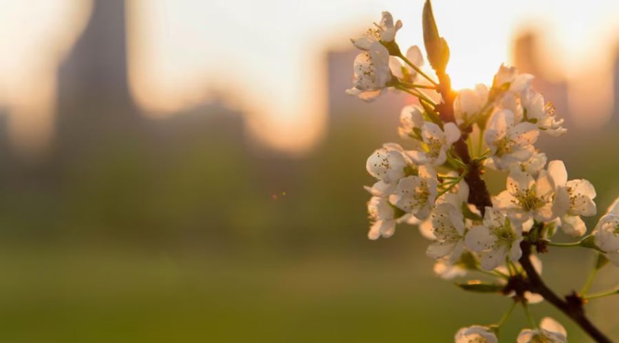 Фото: ru.freepik.com