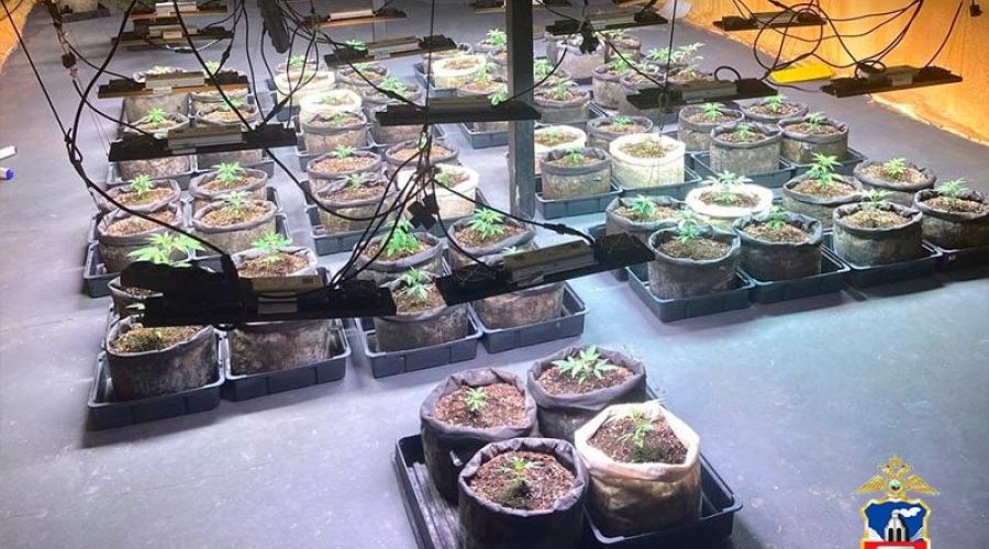 Задержание наркоплантатора в Первомайском районе