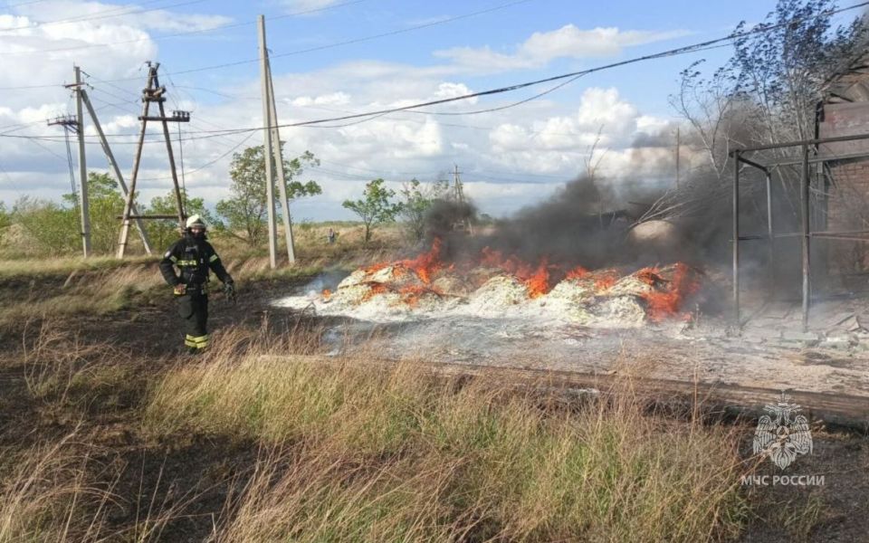 В Алтайском крае завершается пожароопасный сезон - Новости Банкфакс, 06.11.2025
