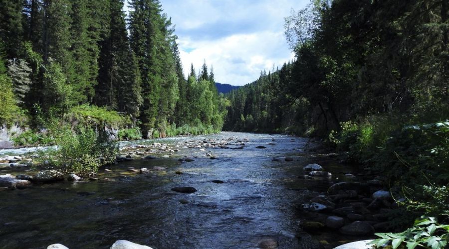 Чарышский округ