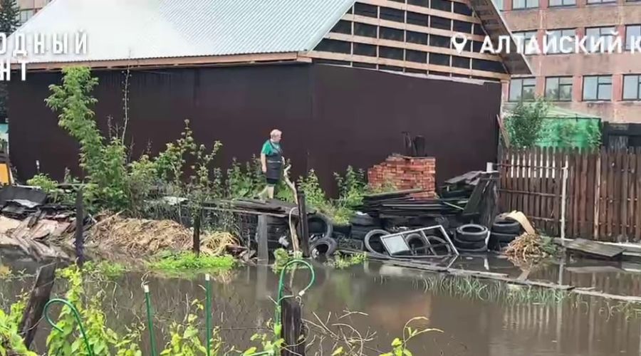 Болото в микрорайоне Прудской 