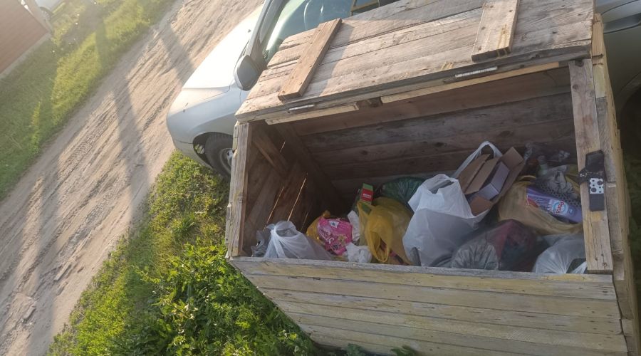 Емкости с мусором в Лесном