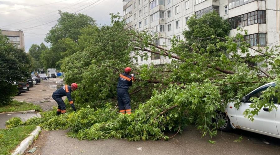 Уборка поваленных деревьев после шторма в Барнауле