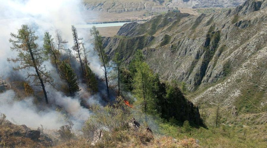 Telegram-канал Андрея Турчака