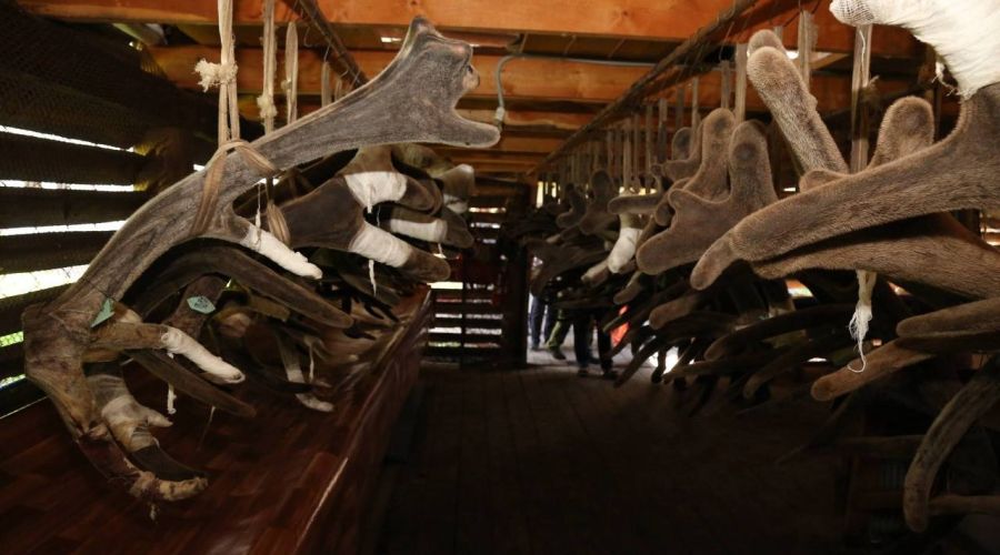 Telegram-канал Андрея Турчака