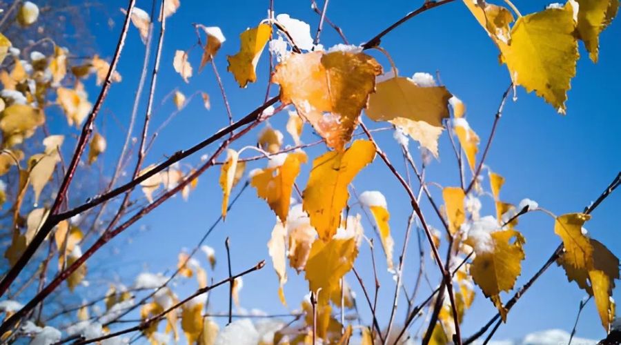 Теплая осень