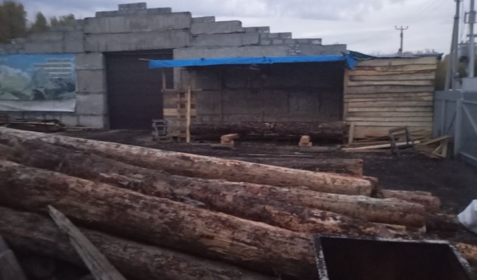 Часть древесины успела покрыться черными пятнами