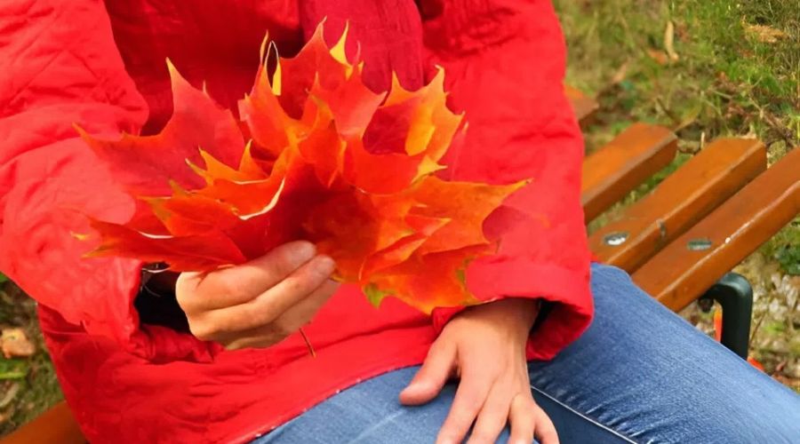 Теплая осень