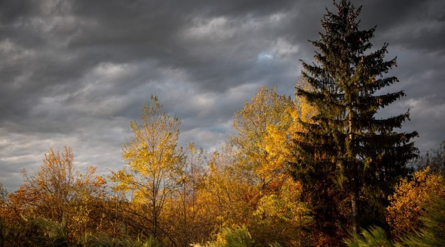 Штормовая осень