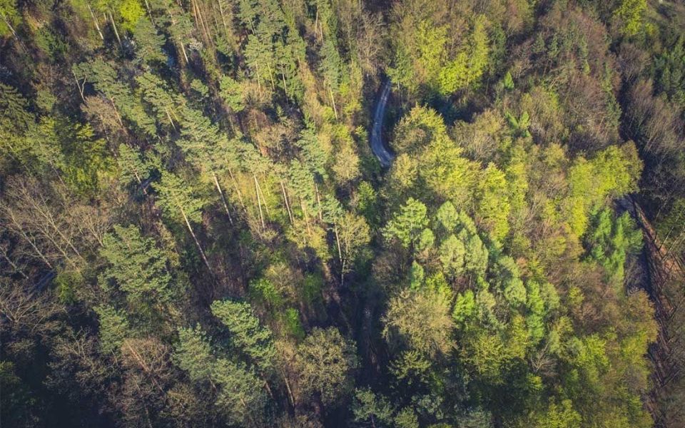 В Республике Алтай завершился пожароопасный сезон - Новости Банкфакс, 10.11.2025