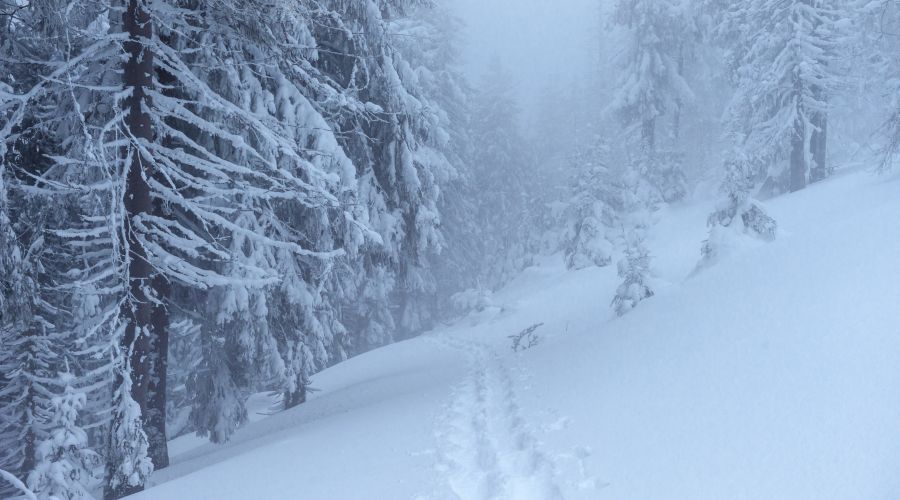 Снежная буря