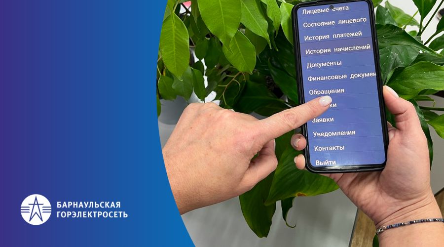 личный кабинет БГЭС