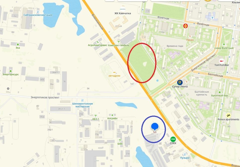 Красным цветом выделен участок в 6,3 га по улице Власихинской,204, синим - по улице Власихинской, 145