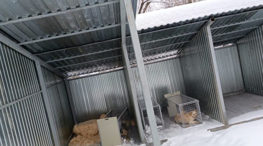 Бийский ПВС