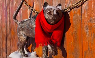 Кот в шарфе