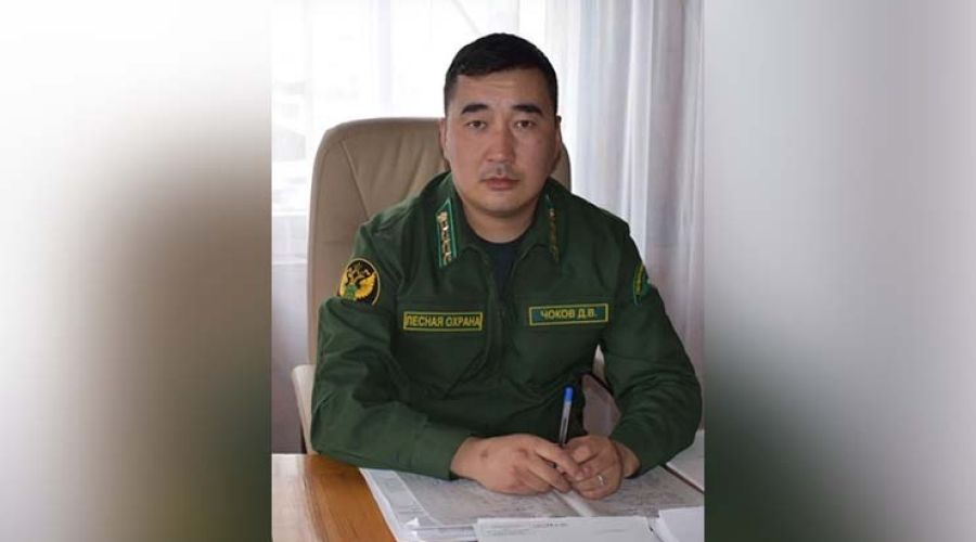 Новый глава Майминского лесничества Денис Чоков