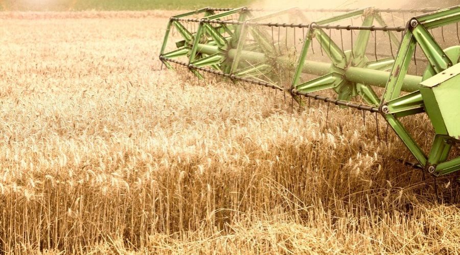 Агробизнес