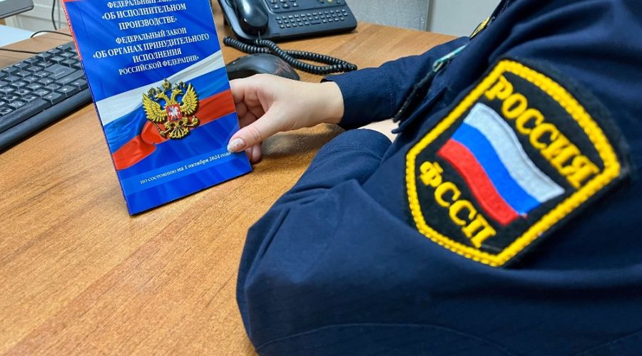 Судебный пристав