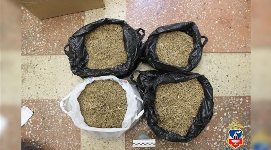 Пакеты с дурма-травой