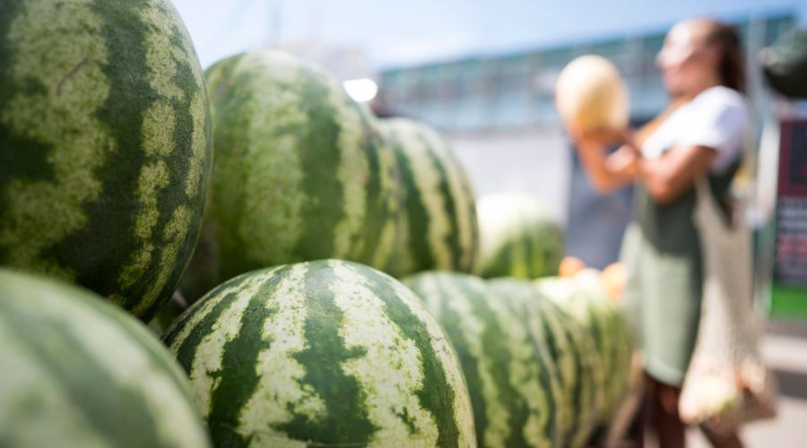 Арбузы