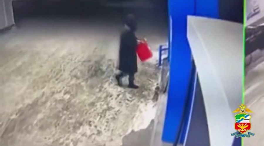 Бийская диверсантка