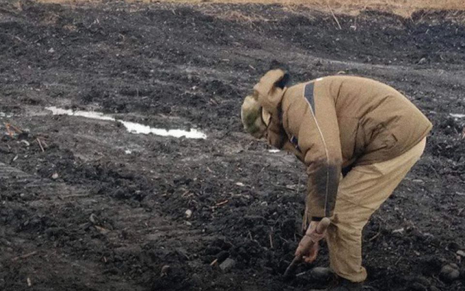 Житель Санкт-Петербурга нанес ущерб почвам алтайского лебединого заказника на 15 млн рублей - Новости Банкфакс, 20.02.2026