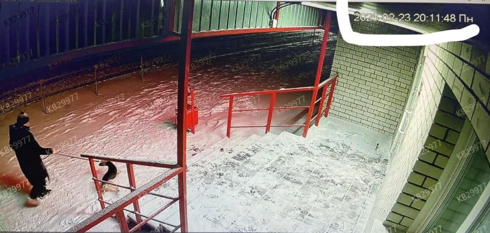 Кадр с камеры видеонаблюдения