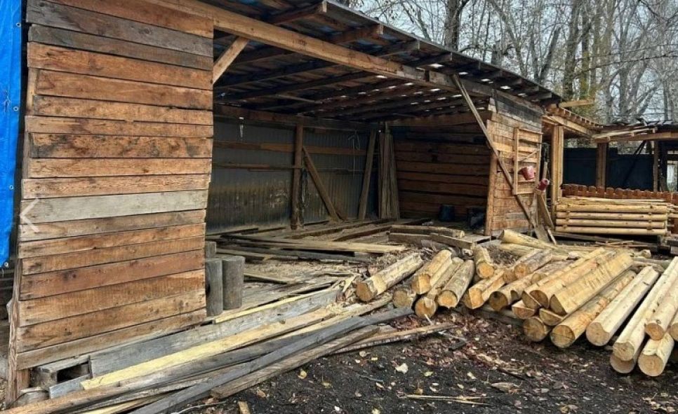 Пилорама компании