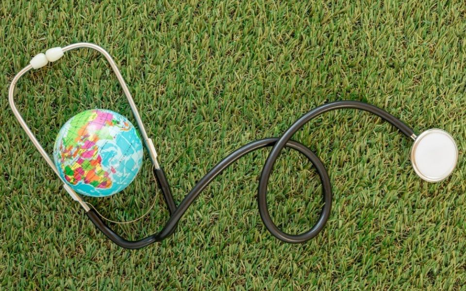 Алтайский край оказался в лидерах России по среднему чеку в медицинском туризме - Новости Банкфакс, 12.03.2026