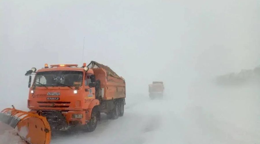 Снежная буря