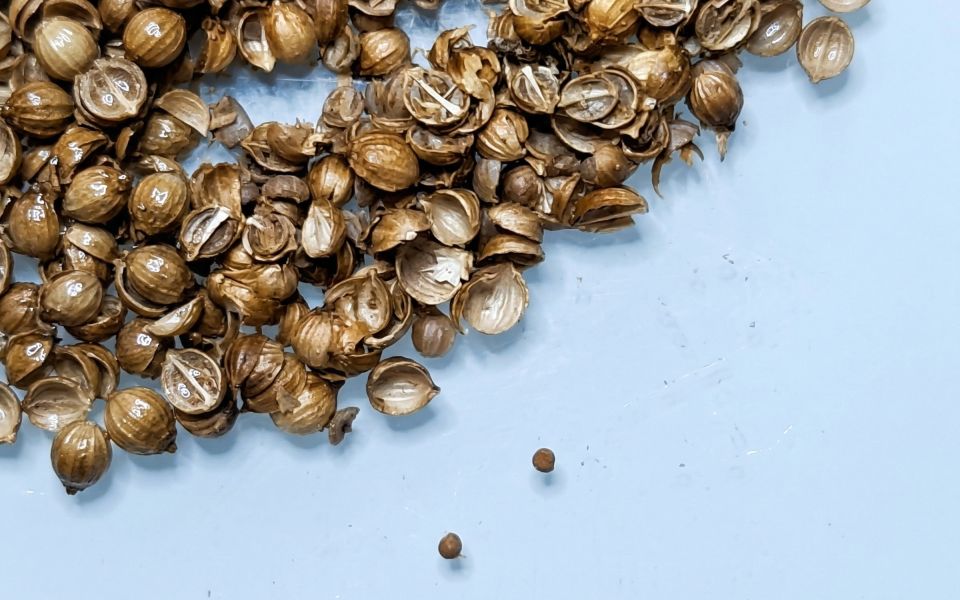 В Алтайский край не пустили партию кыргызских приправ из-за обнаружения карантинного сорняка - Новости Банкфакс, 17.03.2026