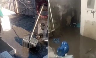 бийские разливы