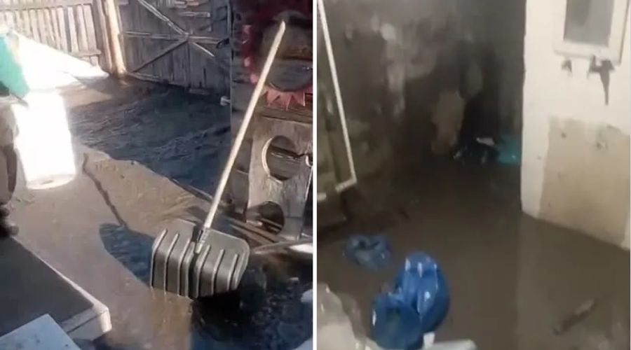 бийские разливы